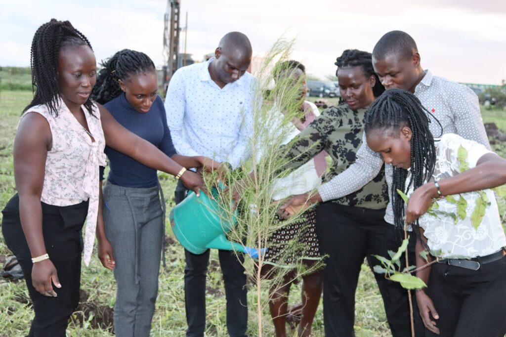 Tree planting for climate action in schools